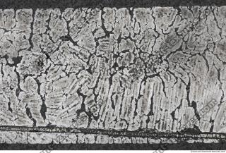 Photo Textures of Asphalt Painted